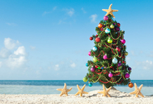 Weihnachtsaktion Fliegenpreise
