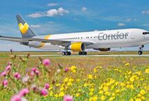 Condor Sommer 20