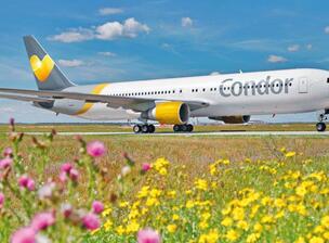 Condor Sommer 20